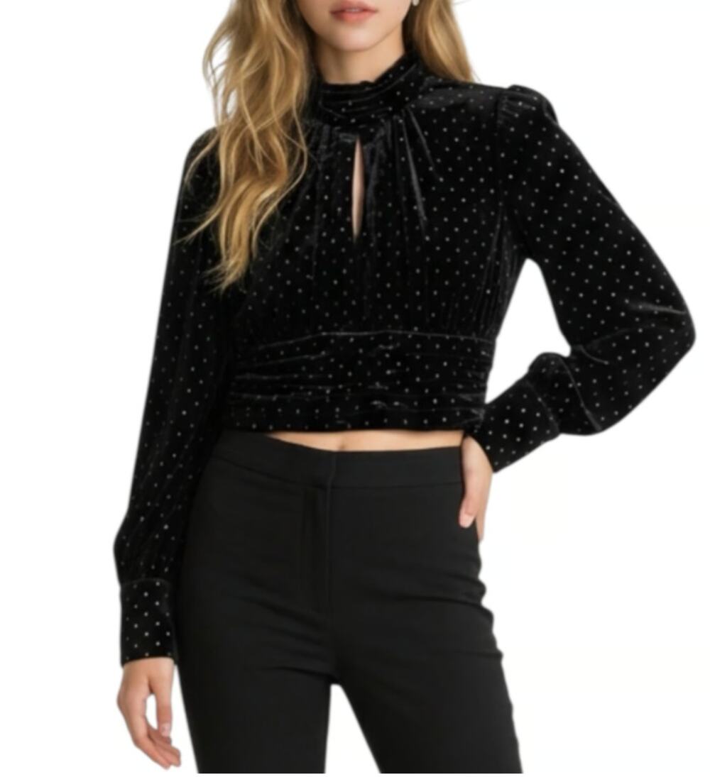 Zara Black Velvet Swiss Dot Blouse Gold Metallic Mock Neck Puff Sleeve NWT S